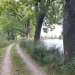 prodej-stavebniho-pozemku-na-okraji-lazenskeho-mesta-trebon-11-vychazkovy-okruh-1-4b6c91